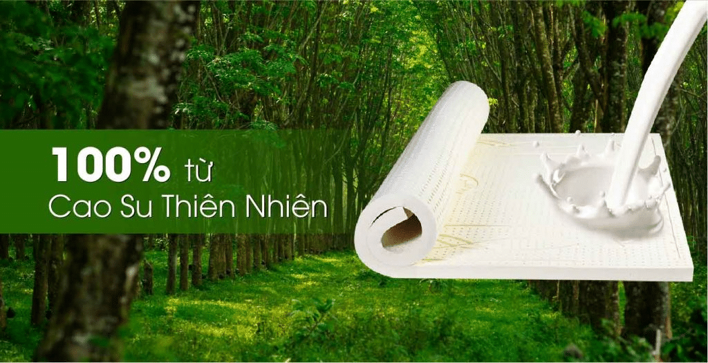 nem-cao-su-nao-tot-gia-re