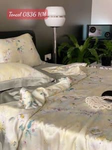 Bộ chăn ga gối Tencel 0836HM.1
