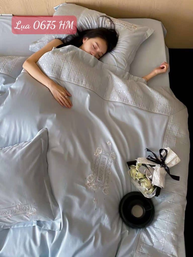 Bộ chăn ga gối Lụa 0675HM.1