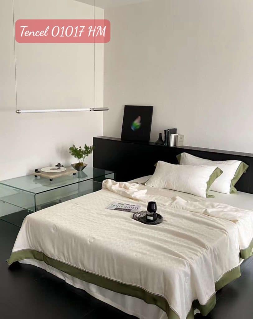 Bộ chăn ga gối Tencel 01017HM.2