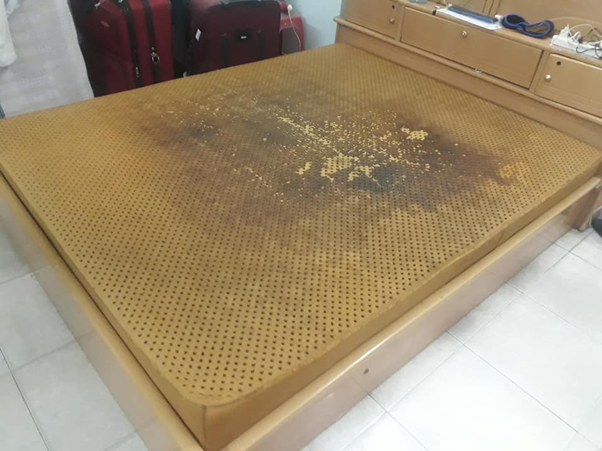 Top 7 Mẹo Khử Mùi Nệm Cao Su Nhanh Chóng, Hiệu Quả Và An Toàn 13 khu-mui-nem-cao-su